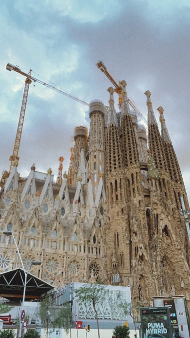 Lugar Basílica Sagrada Familia