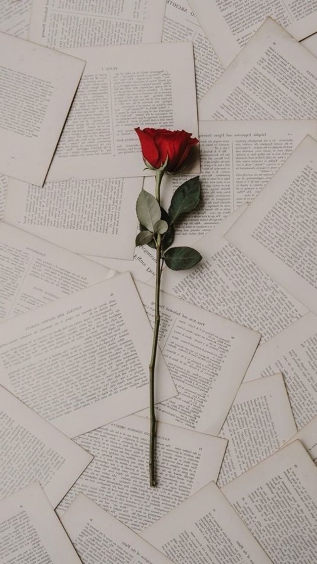 Social Wallpaper 