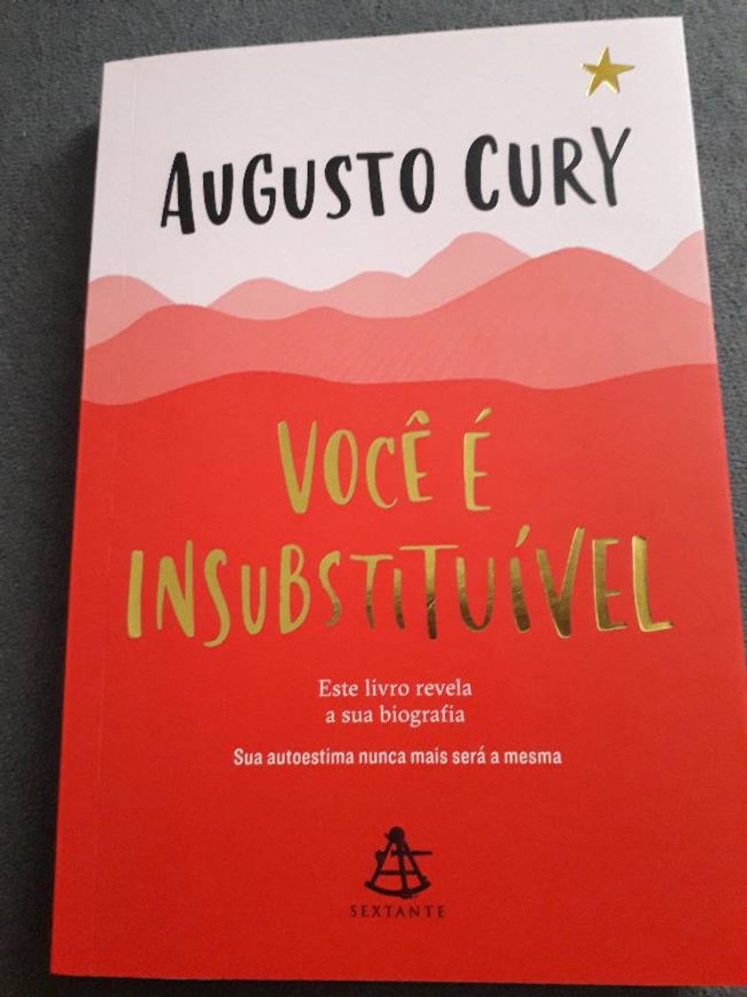 Book Você É Insubstituível