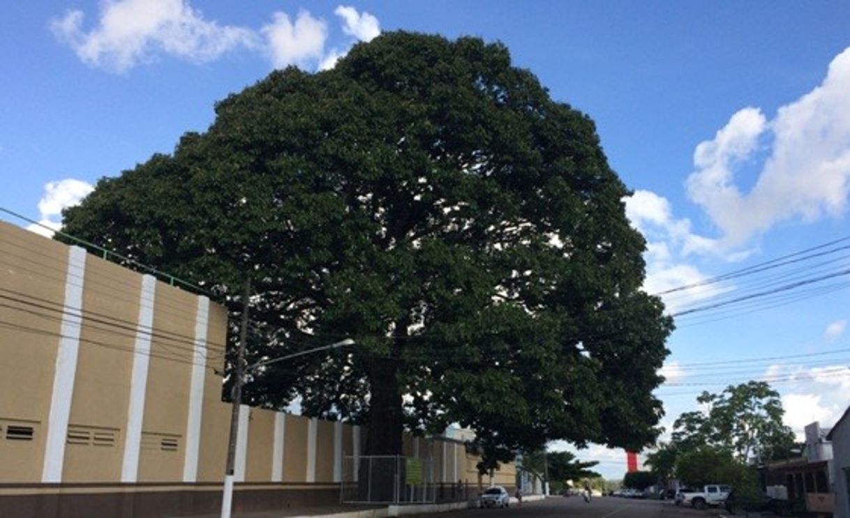 Lugar Arigolândia