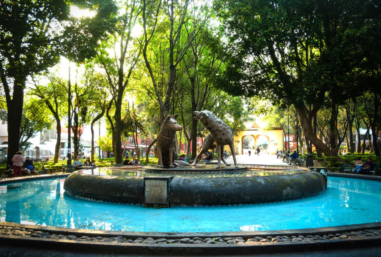 Restaurants Coyoacán