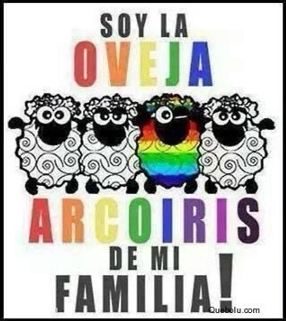 Social 🏳️‍🌈