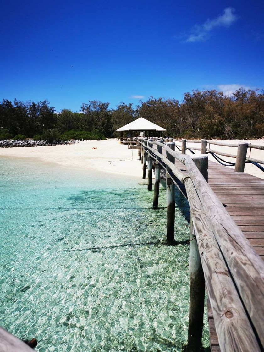 Lugares Heron Island