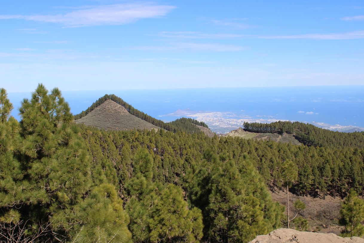 Lugar Caldera de Bandama