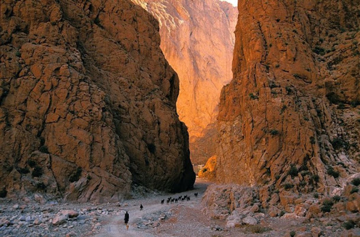 Places Todra Gorge