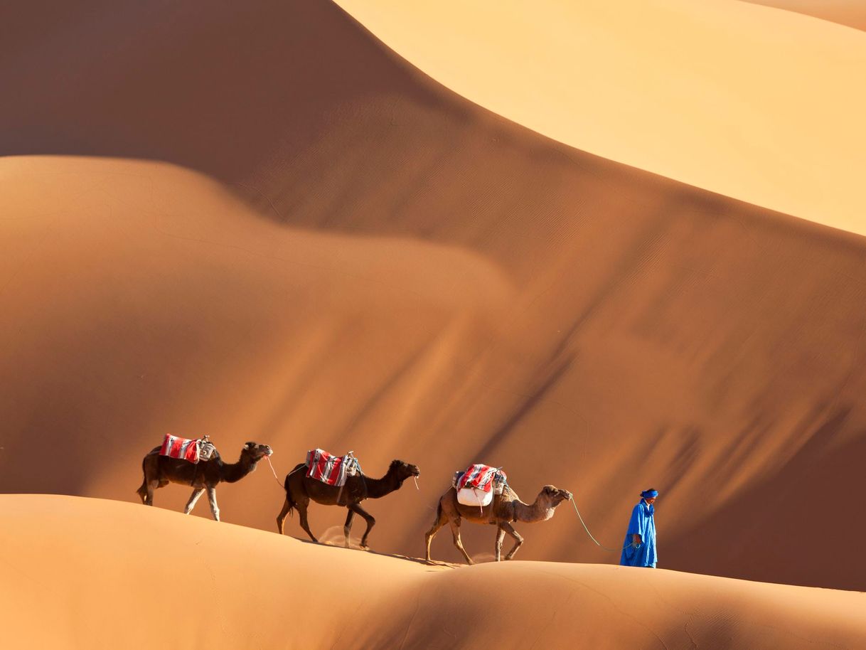 Lugar Merzouga Desert