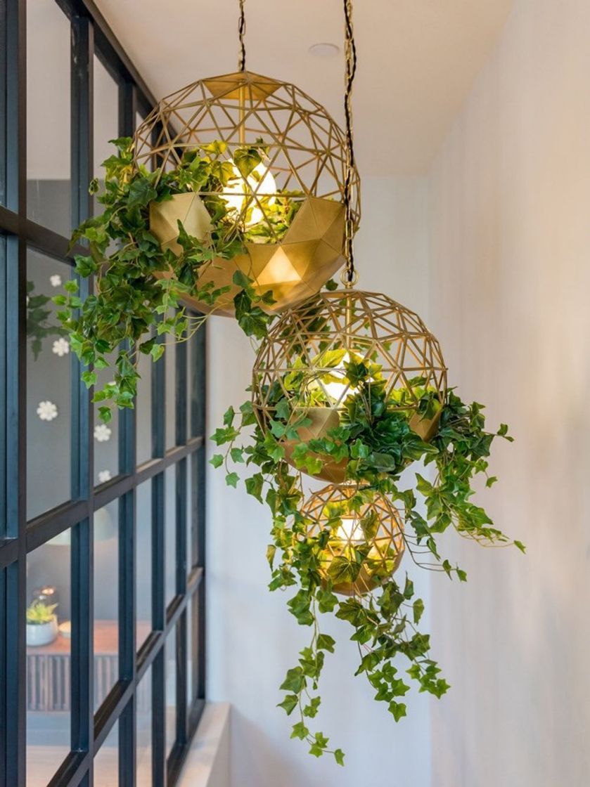 Moda Pendente 💡com plantas 🌿