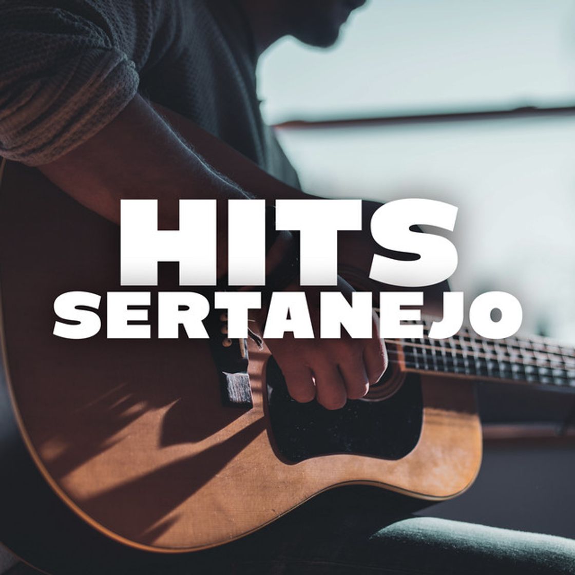 Music Solteiro Não Trai - Ao Vivo