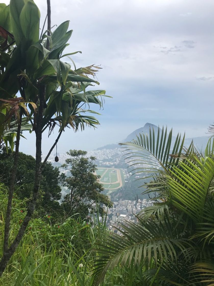 Lugar Brasil