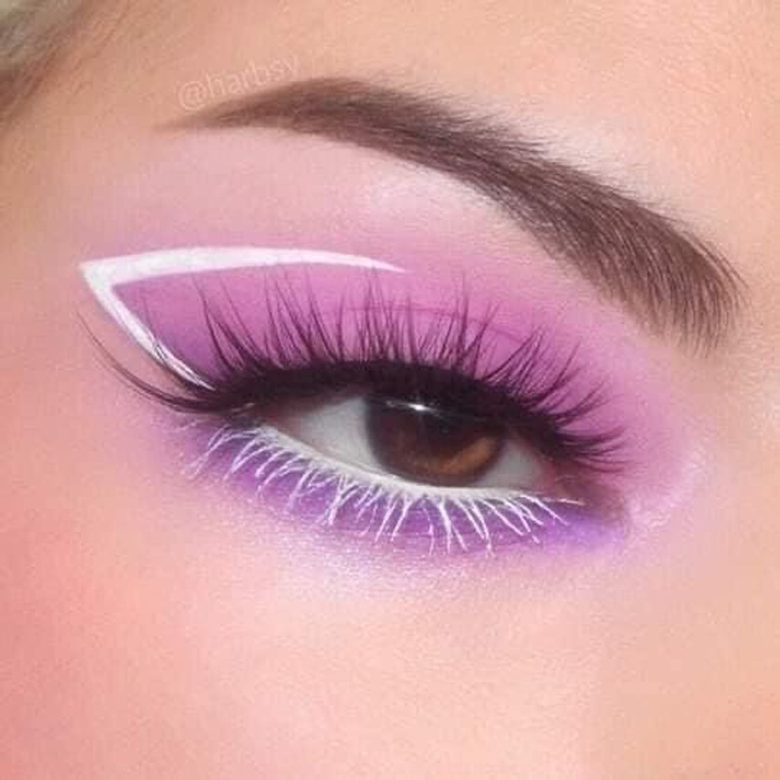 Moda Purple Makeup