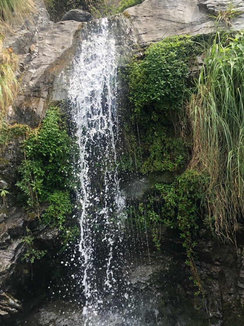 Social Parque Metropolitano - Bolivia - Cochabamba 💙
