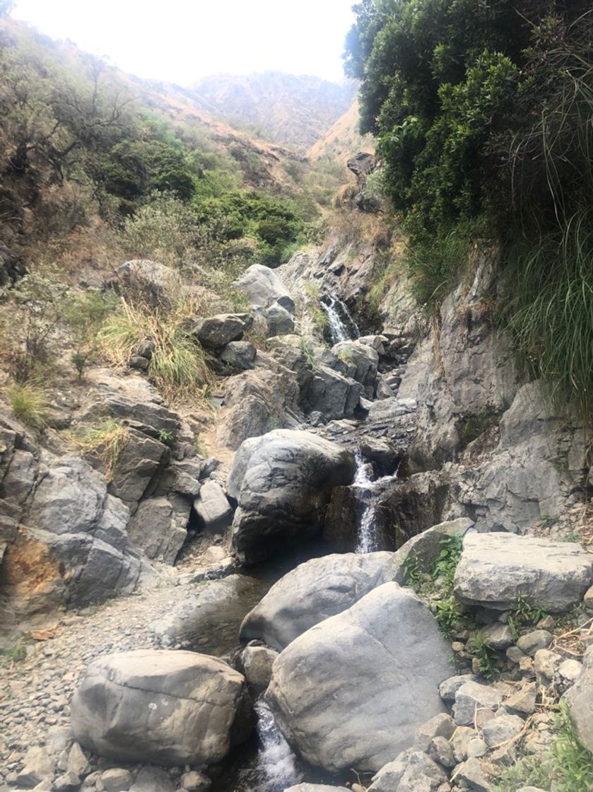 Social Parque Metropolitano 🏔🍃🤩