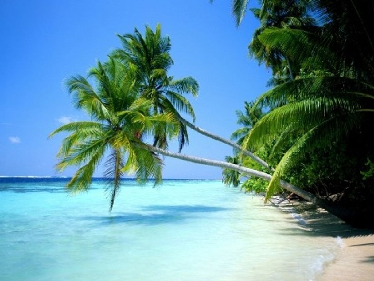 Place Isla de Margarita