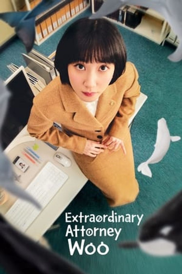 Serie Woo, Una Abogada Extraordinaria