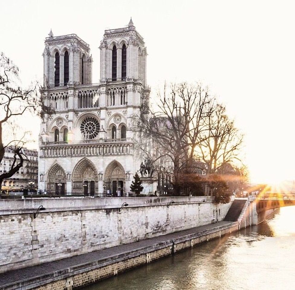 Place Catedral de Notre Dame