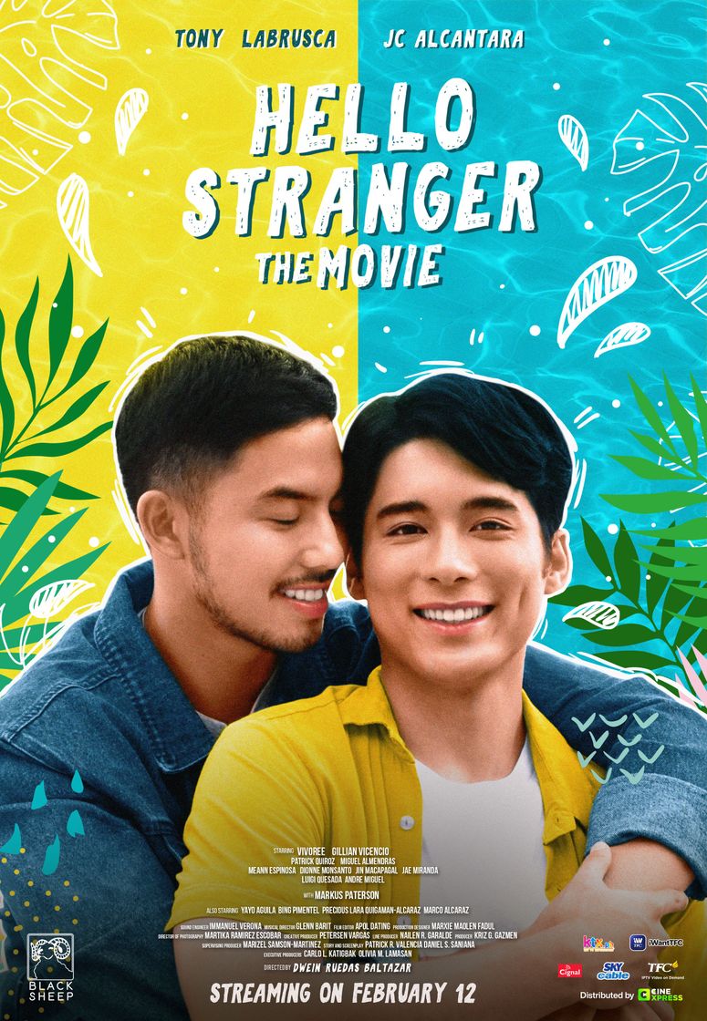 Movie Hello, Stranger: The Movie