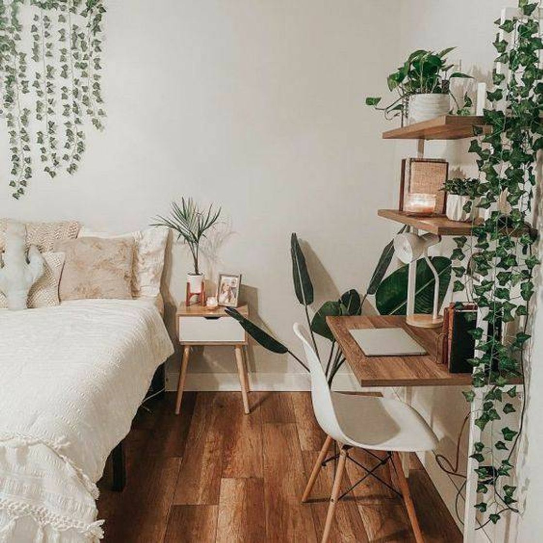Social Quarto