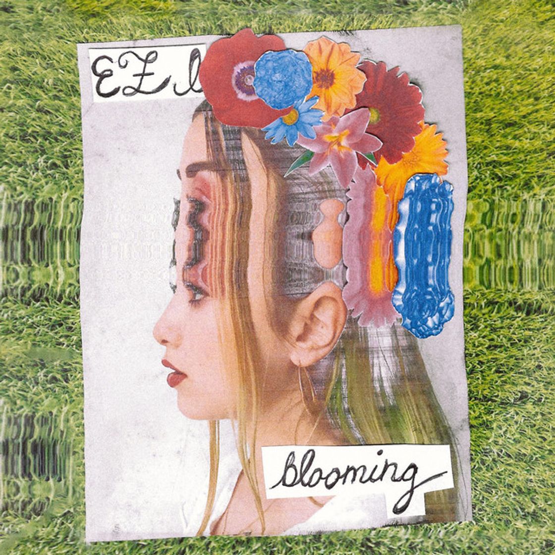 Canción blooming