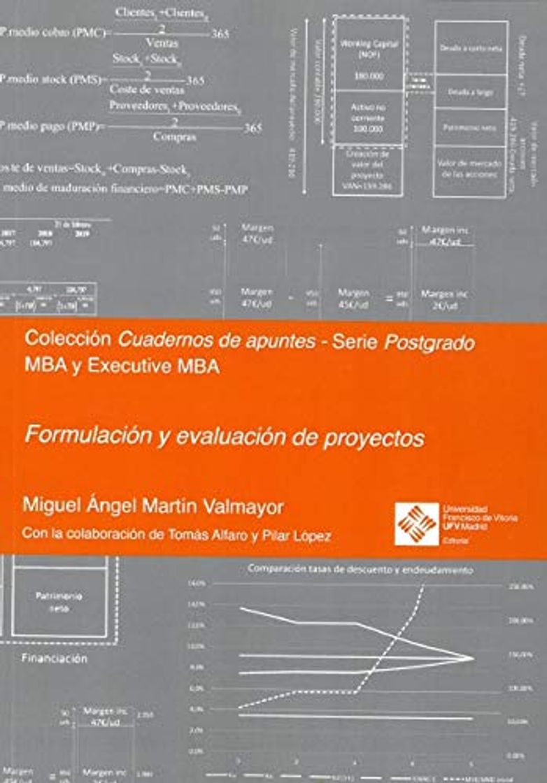 Libro Formulación y evaluación de proyectos: 7