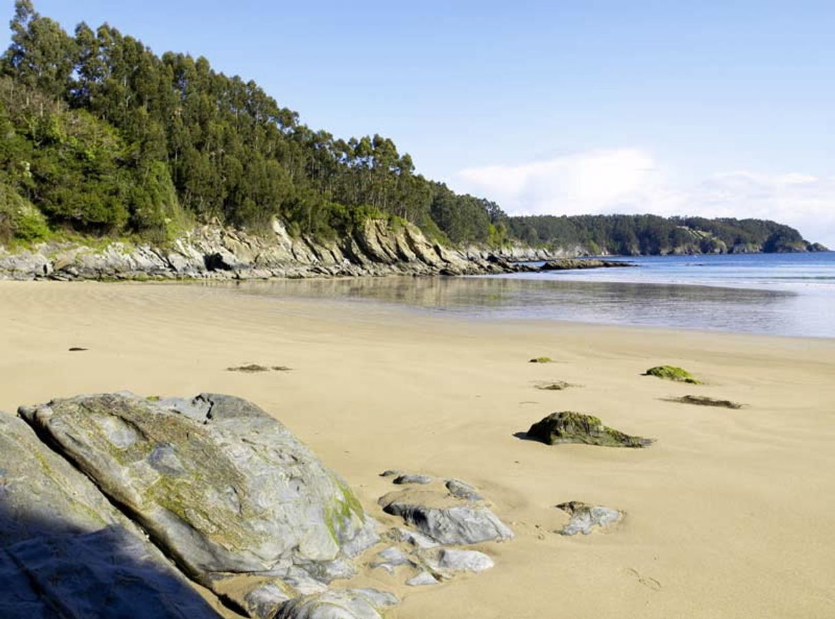 Place Playa de Sacido, Viveiro