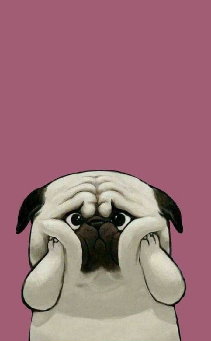 Social Wallpaper fofo