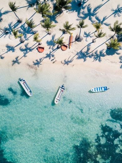 Punta Cana, República Dominicana 🇩🇴 