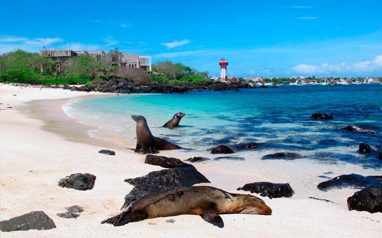 Place Galapagos Island