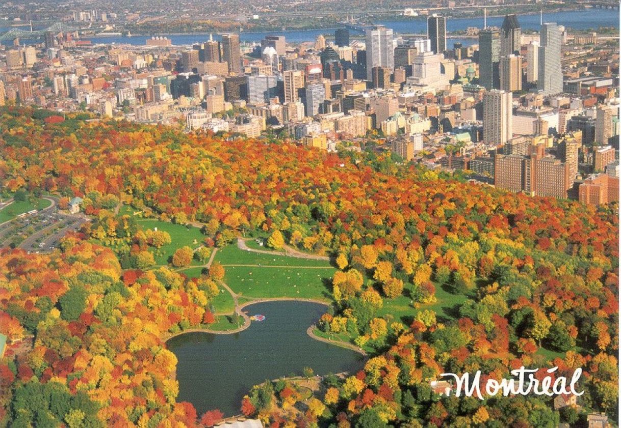 Place Mont-Royal