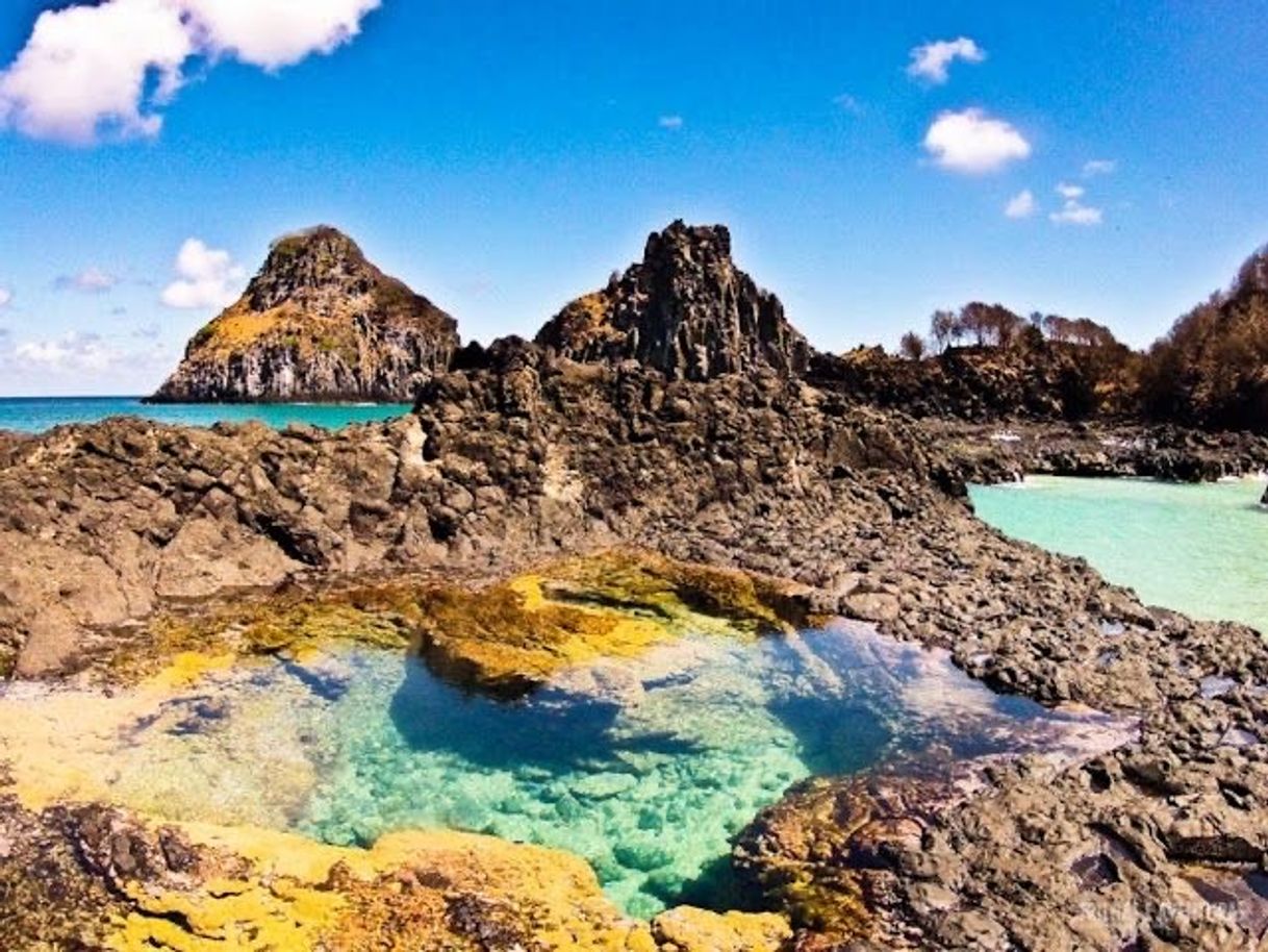 Places Fernando de Noronha - Brasil