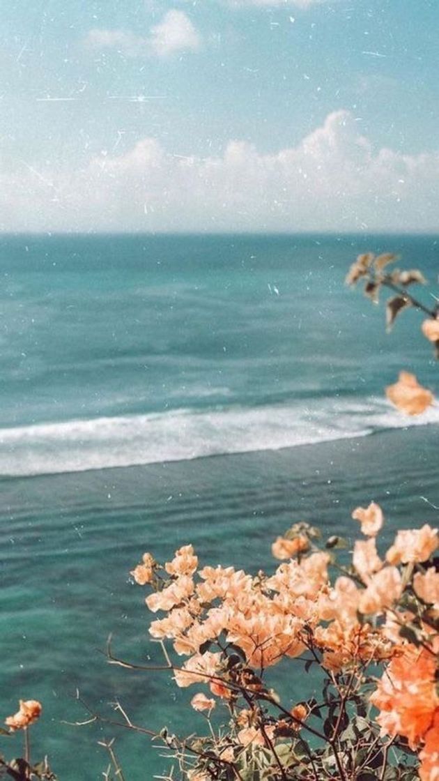 Social Wallpaper 🌊 