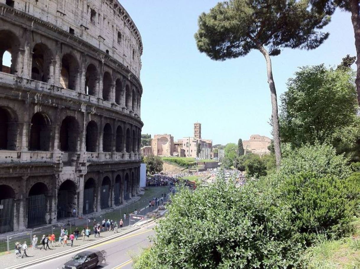 Places Piazza del Colosseo