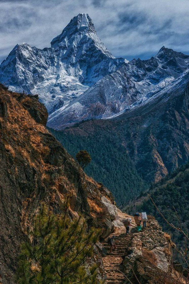 Moda Cordilheira do Himalaia - 🇨🇳🇳🇵🇧🇹🇮🇳🇵🇰