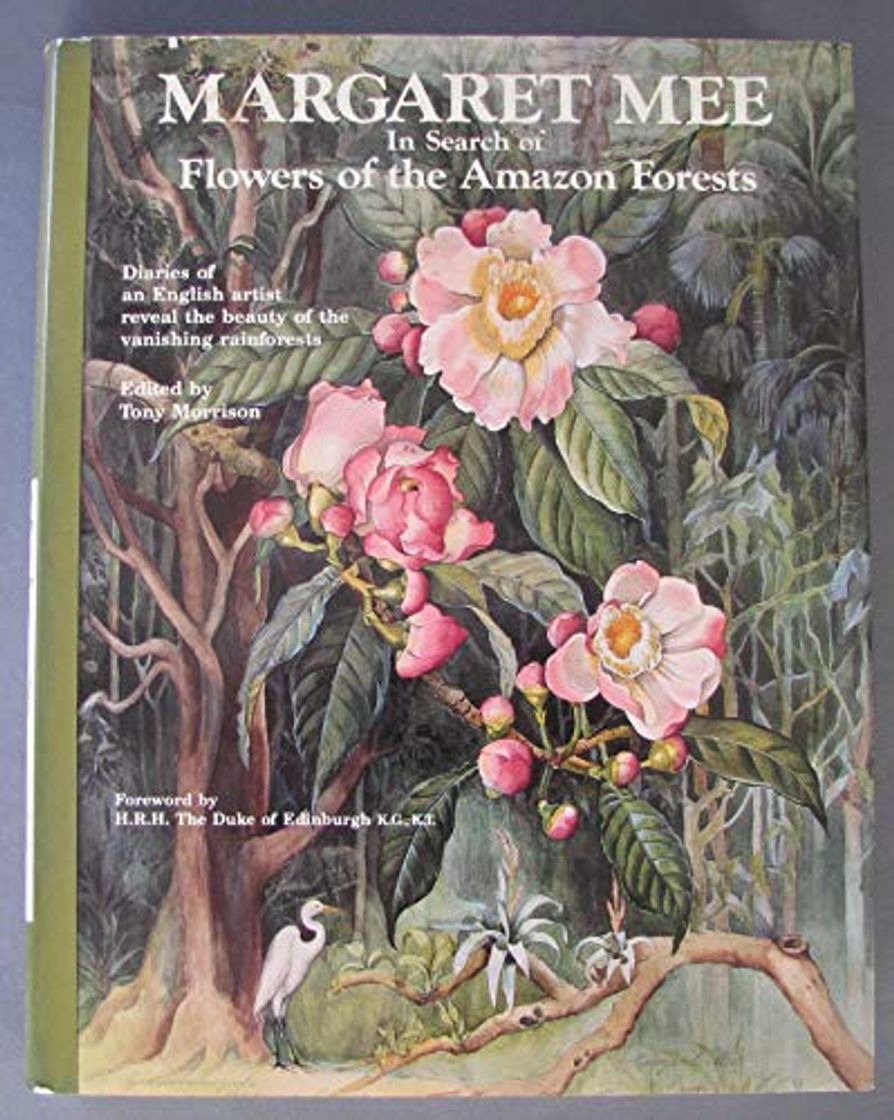 Book In Search of Flowers of the Amazon Forest