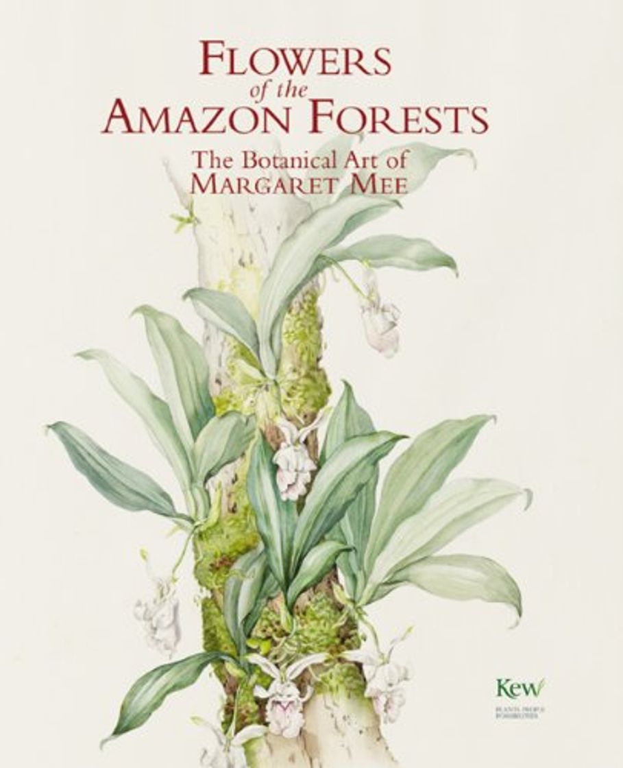 Book Flowers Amazon Forests:Margaret Mee