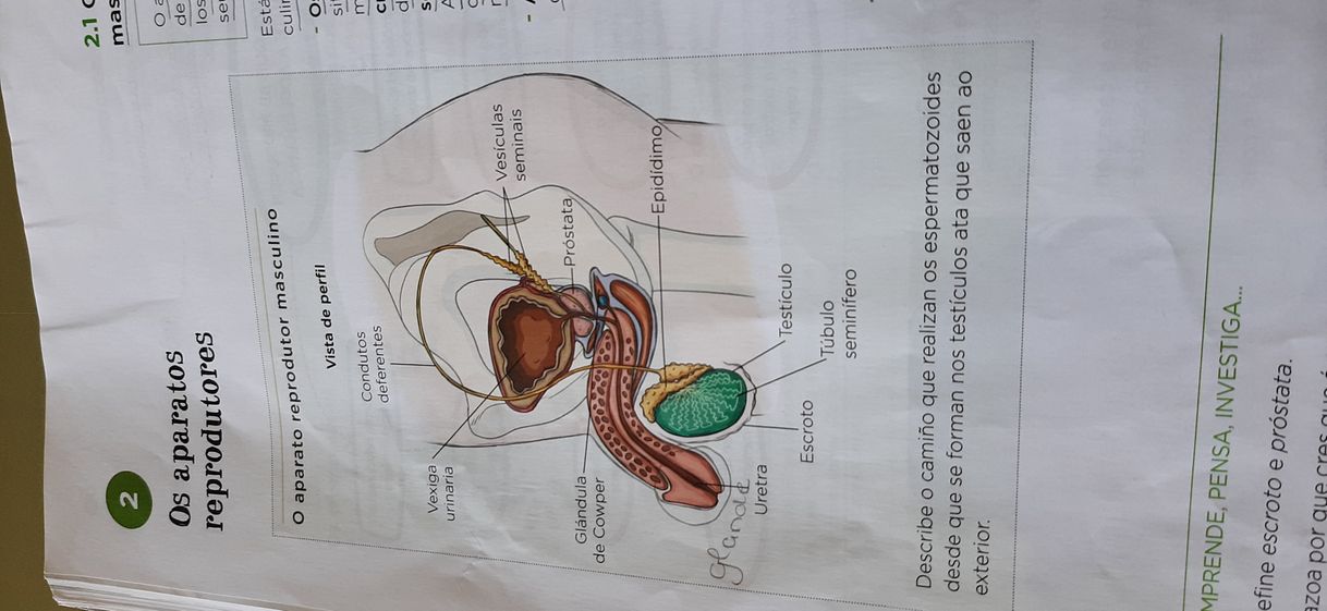 Product LIBRO DE BIOLOGIA