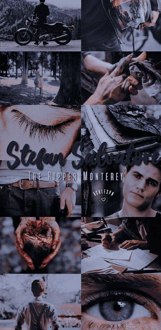 Fashion Stefan Salvatore 