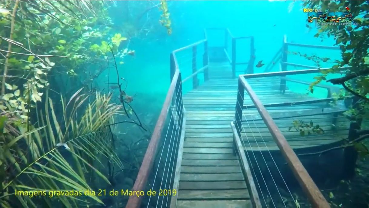 Social Trilha Submersa no Recanto Ecológico Rio da Prata - YouTube