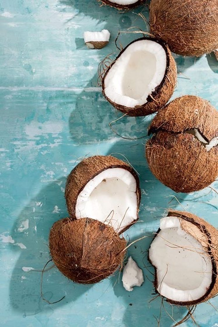 Moda Coconuts 🌴 