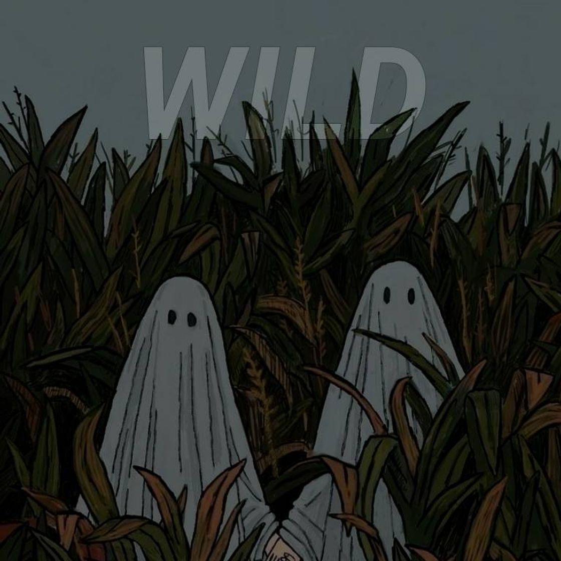 Canción WILD