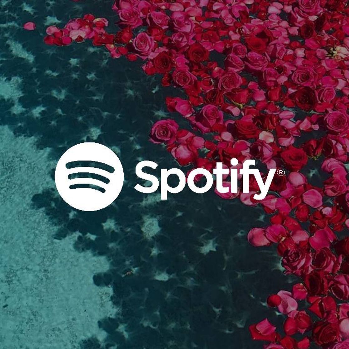 App Spotify: Music and podcasts