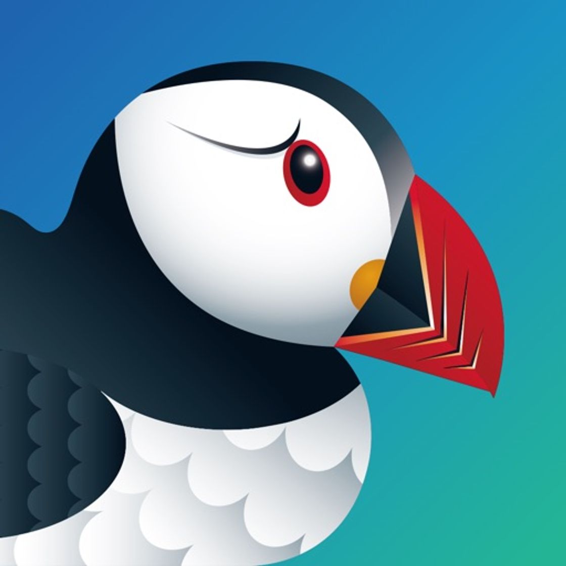 App Puffin Browser Pro