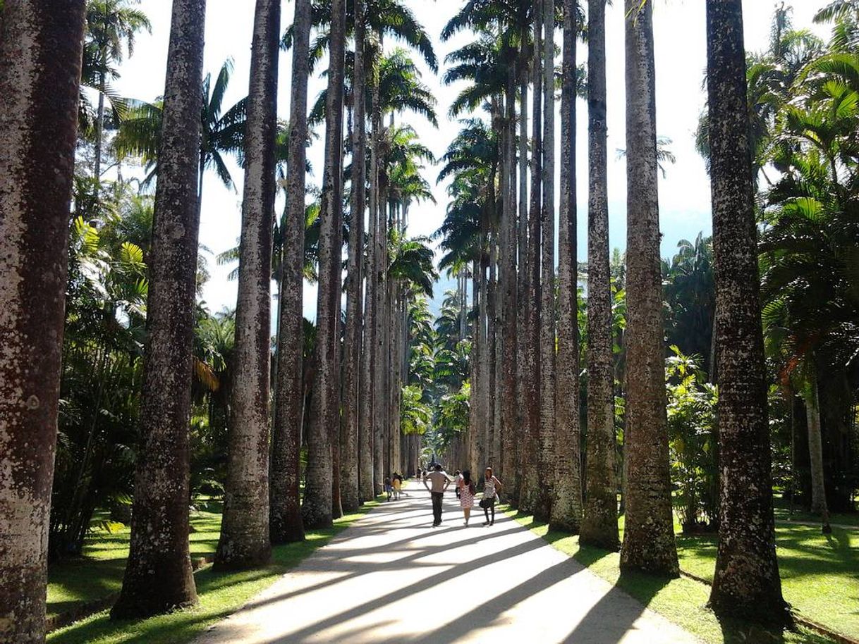 Place Jardim Botânico