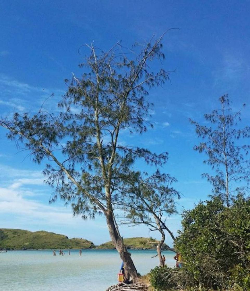 Place Ilha do Japonês