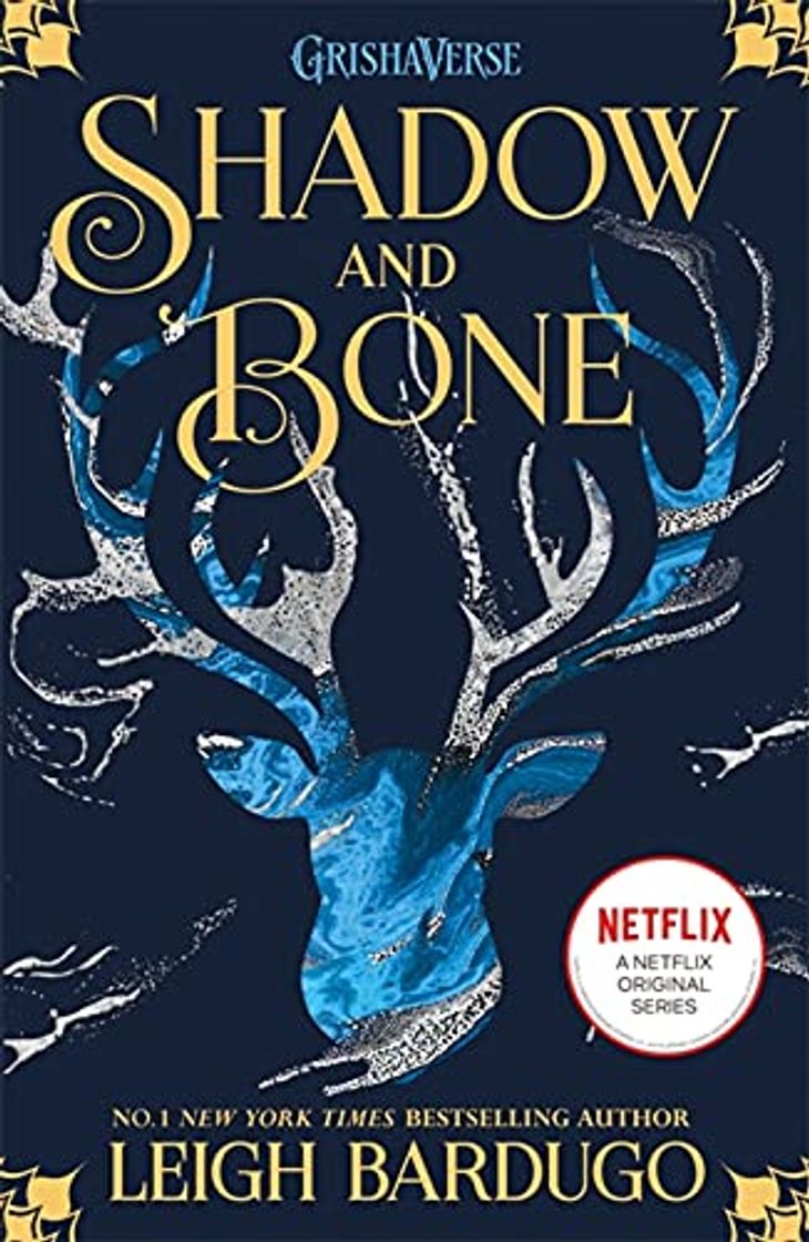 Book Shadow And Bone 1: Soon to be a major Netflix show