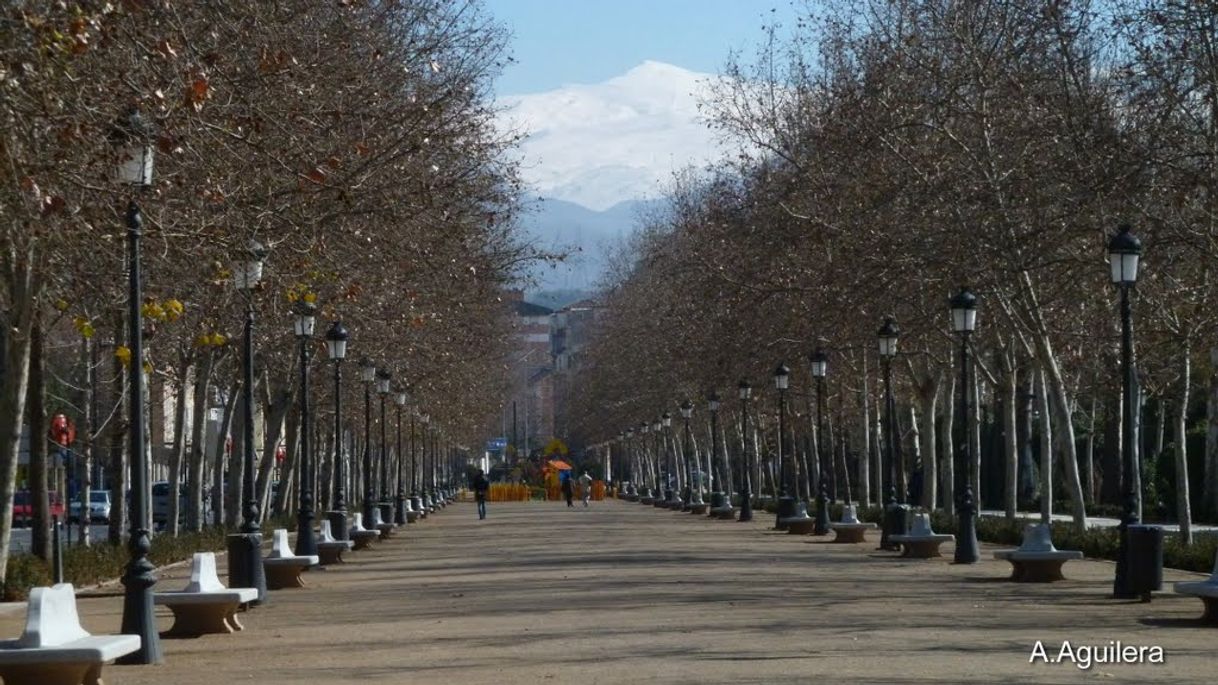 Places Paseo de la Bomba