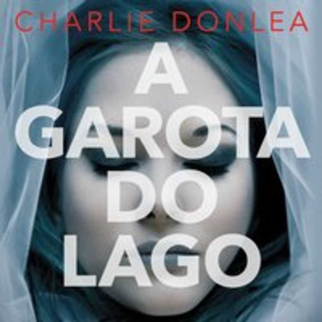 Libros A garota do lago

