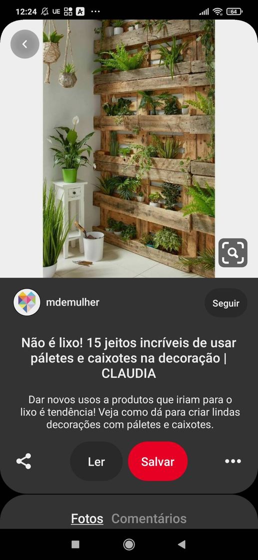 Moda Ótimas ideias pra jardinagem