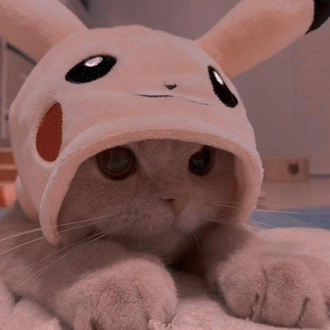 Moda Pikachu kitty