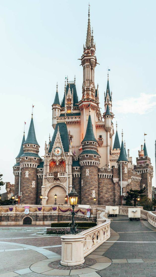 Social Magic kingdom
