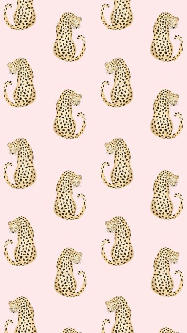 Social Onça 🐆 